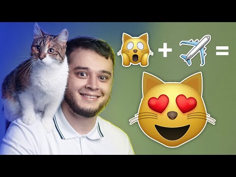 Видео: 7 ПРАВИЛ ДЛЯ ПОЛЁТОВ ВАШИХ ПИТОМЦЕВ!