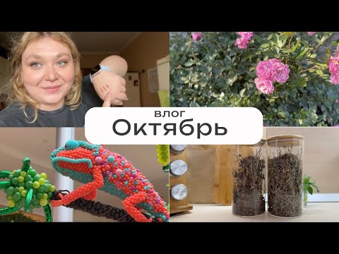 Видео: Покупки для дома и макияжа, примерки, осенние будни