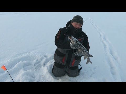 Видео: ДАЖЕ НЕ РАССЧИТЫВАЛ НА ТАКОЙ КЛЁВ "ТРОФЕЕВ"! МОРОЗНАЯ РЫБАЛКА В ВЫХОДНОЙ ДЕНЬ ПО РЫБНЫМ ОЗЁРАМ!