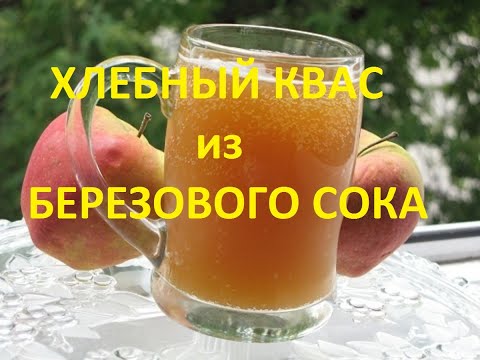 Видео: Хлебный Квас на основе Березового сока