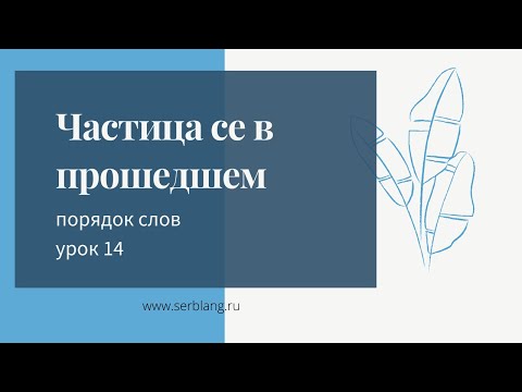 Видео: 14. Порядок слов в сербском. Частица se в прошедшем