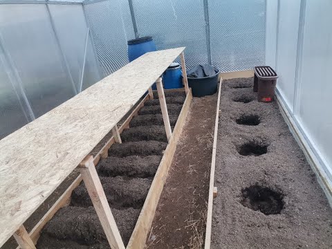 Видео: Новые стеллажи в теплицах. Рассада на закаливании, перевалка цветов. Прогреваю посадочные лунки
