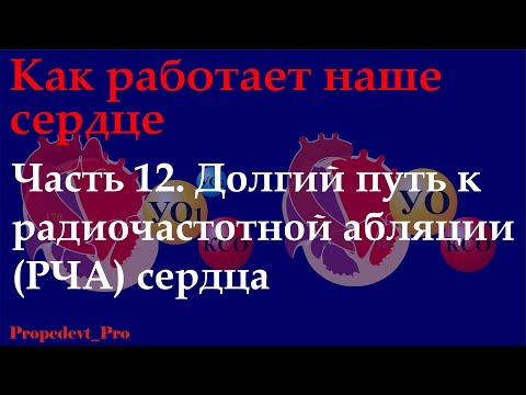 Видео: Как работает наше сердце. Часть 12. Долгий путь к радиочастотной абляции сердца (РЧА).