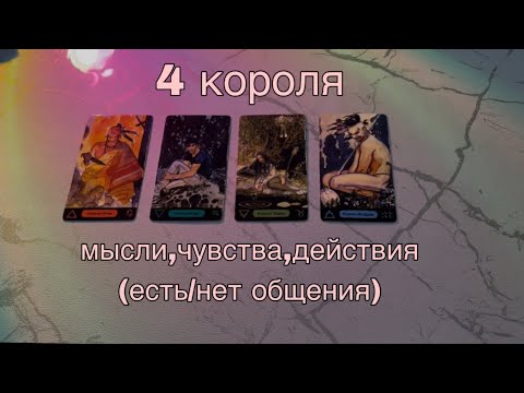 Видео: 4 КОРОЛЯ: (есть/нет общения) мысли, чувства, действия🤍