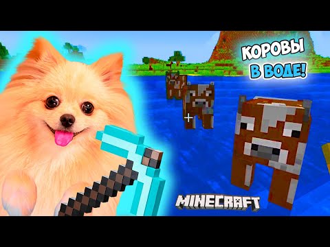 Видео: СТРОЮ ФЕРМУ В МАЙНКРАФТ ! ПЕРЕПЛЫВАЮ РЕКУ С КОРОВАМИ ! MINECRAFT