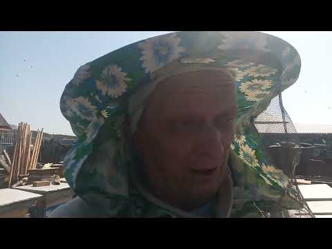 Видео: 300 гр. за сутки !