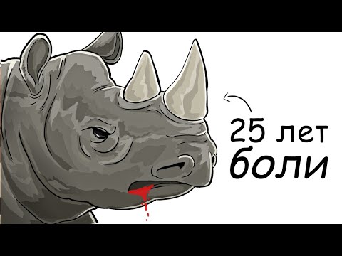 Видео: Ты – Носорог (И ЭТО ВСЯ ТВОЯ ЖИЗНЬ)