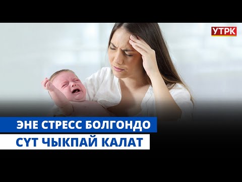 Видео: Эне стресс болгондо сүт чыкпай калат | "БӨБӨК" КӨРСӨТҮҮСҮ