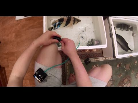 Видео: Транспортировка крупной рыбы(+ Рыбкалка!)