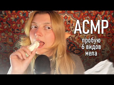 Видео: АСМР 😮 в первый раз пробую мел // ASMR eating chalk ✨ beatrisius asmr