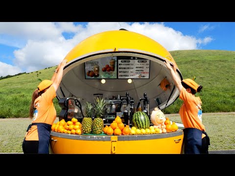Видео: Магазин НЛО!? Полный процесс производства фруктовых соков и мороженого / от фермы до фабрики!