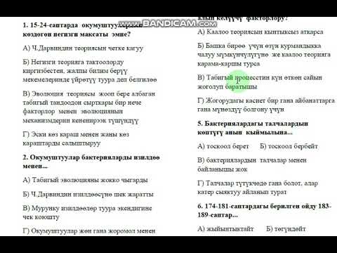 Видео: Практикум 5