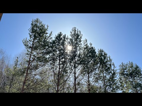 Видео: Наш путь: Кирзя, Сурда, Янбак, Александровка, Атняш, Новый Бердяш, Караяр, Караидель