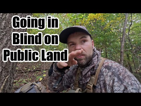 Видео: Движение вслепую по общественной земле