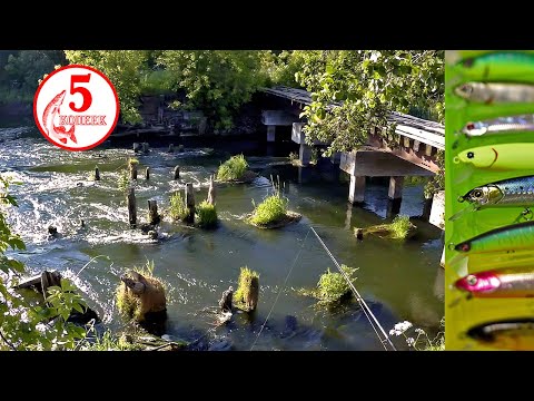 Видео: Голавль чуть не сломал спиннинг! Рыбалка на потрясающе красивой реке!!!