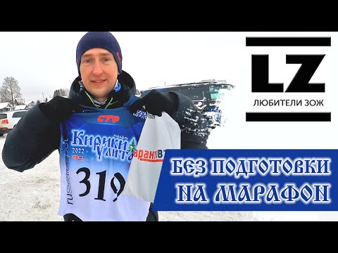 Видео: На марафон без подготовки. ВологдаМарафон Кирики Улита