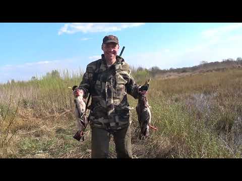 Видео: ВЕСЕННЯЯ РАПСОДИЯ