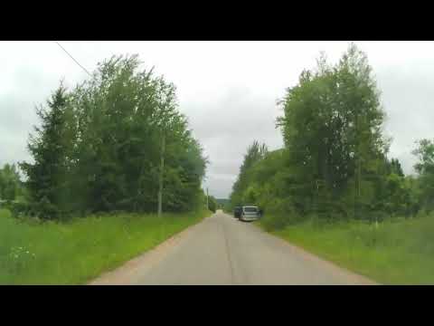 Видео: Красивое атмосферное место или долина реки Лутосни