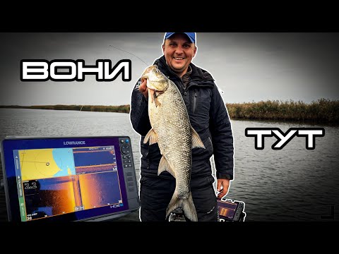 Видео: Напоролись на хід ХИЖАКА! Та почалось! Це вже ЖОР?