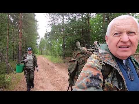 Видео: Грибы Карельского перешейка, они лучше знают где им расти и когда