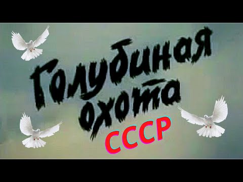 Видео: Голубиная охота! Голуби и Голубятники СССР!