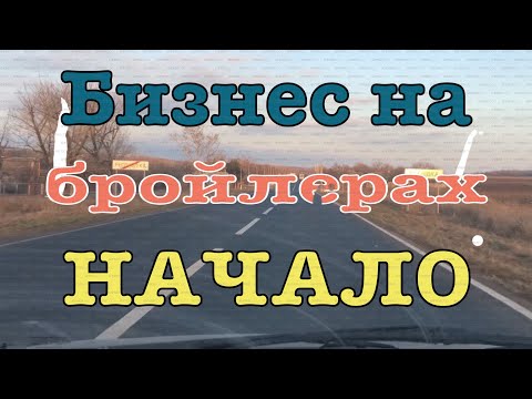 Видео: Бизнес на бройлерах/дезинфекция/аммиачный запах/содержание бройлера кобб 500/бройлеры как бизнес