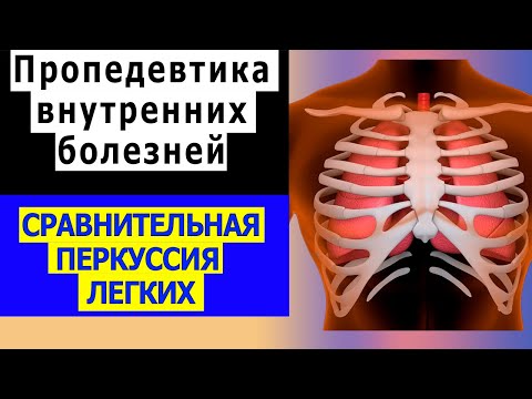 Видео: Пропедевтика внутренних болезней | Сравнительная перкуссия легких