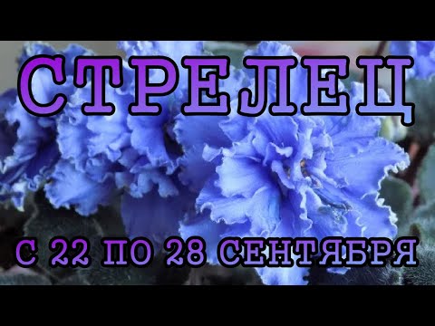 Видео: СТРЕЛЕЦ таро прогноз на неделю с 22 по 28 СЕНТЯБРЯ 2025 года