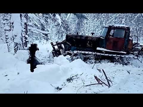 Видео: Разбойники преградили путь