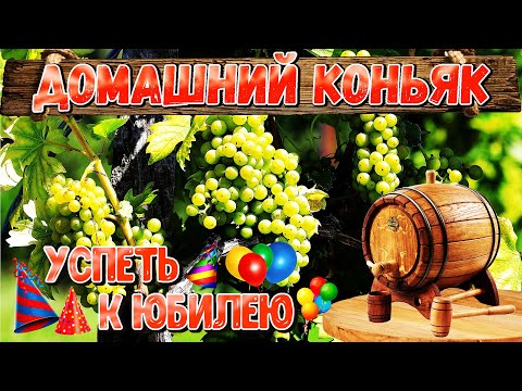 Видео: КОНЬЯК в домашних условиях БЕЗ ОСОБЫХ ПРИМУДРОСТЕЙ