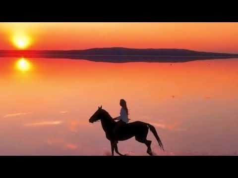 Видео: Необыкновенная 