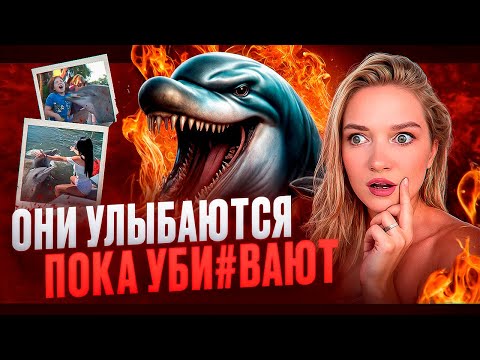 Видео: ПСИХОПАТЫ ОКЕАНА: ТЕМНАЯ СТОРОНА ДЕЛЬФИНОВ. Ты не готов к этой правде 🔪