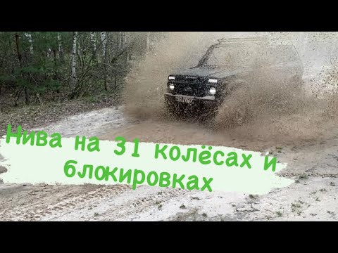 Видео: Нива на 31 колёсах