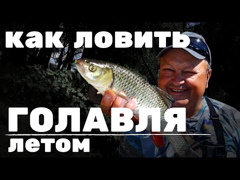 Видео: КАК ЛОВИТЬ ГОЛАВЛЯ летом на воблеры и блесны|Тест Crazy Fish Levin 6'2" LT|Рыбалка на реке