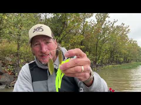 Видео: Забытый цвет.