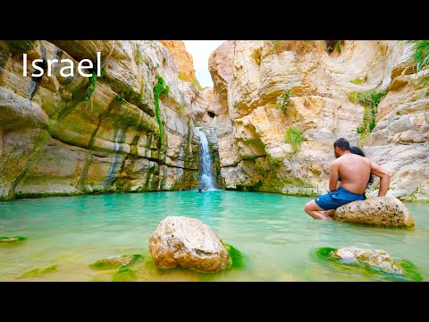 Видео: Иудейская пустыня: хрустальные бассейны и водопады. Прогулка по суше и воде реки Аругот