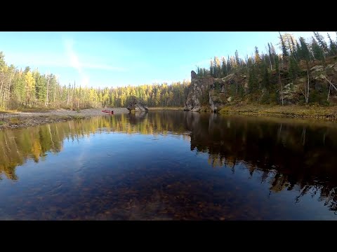 Видео: Рыбалка на любимой реке в золотую осень. Ловля хариуса.
