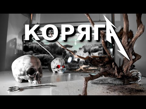Видео: Коряги в аквариуме и все о них!