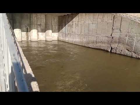 Видео: Канал Иртыш Караганда. 29 водовыпуск. Туздинское водохранилище