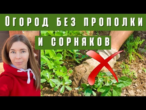 Видео: Как избавиться от сорняков на участке без прополки и химии