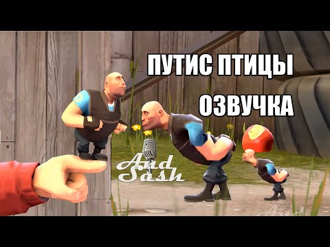 Видео: Путис Птицы #озвучка #sfm #tf2 #анимация #дубляж #рек