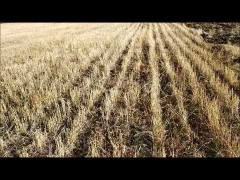 Видео: Секреты урожайности