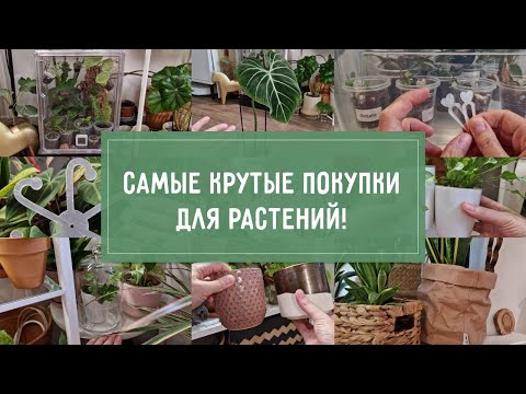 Видео: САМЫЕ КРУТЫЕ покупки для РАСТЕНИЙ!