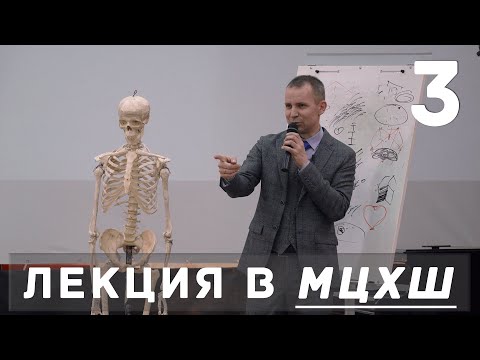 Видео: Лекция Александра Рыжкина в МЦХШ / Основные принципы рисования / Часть 3