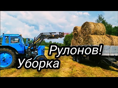 Видео: Сенокос 2025