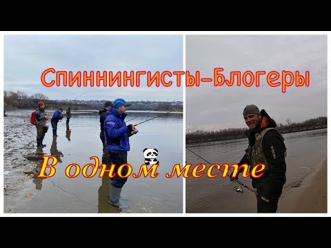 Видео: Рыбалка на Москва реке | Ловим Щуку | Fishing
