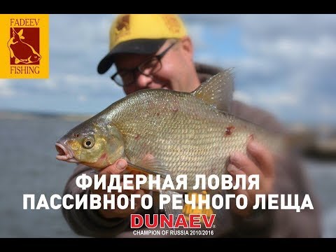 Видео: Фидерная ловля пассивного речного леща