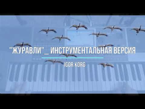 Видео: "Журавли" _ Инструментальная версия_ Igor Korg _ (Korg PA900)_ NEW 2021