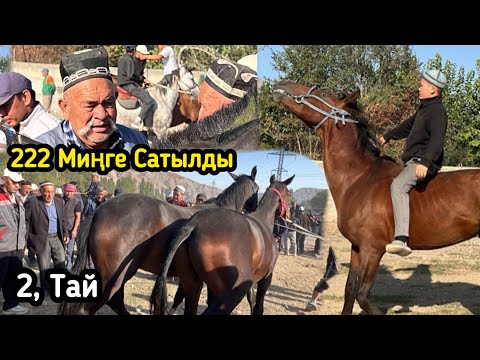 Видео: НООКАТ АРАЛ ЖЫЛКЫ БАЗАРЫ / 10 сентябр 2025  жыл 