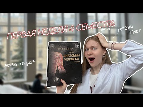 Видео: выживаю на 2 курсе медицинского / Сеченовский университет